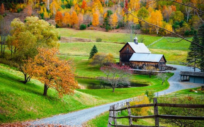 Probate Homestead - The Right of Occupancy by Hammerle Finley Law Firm
