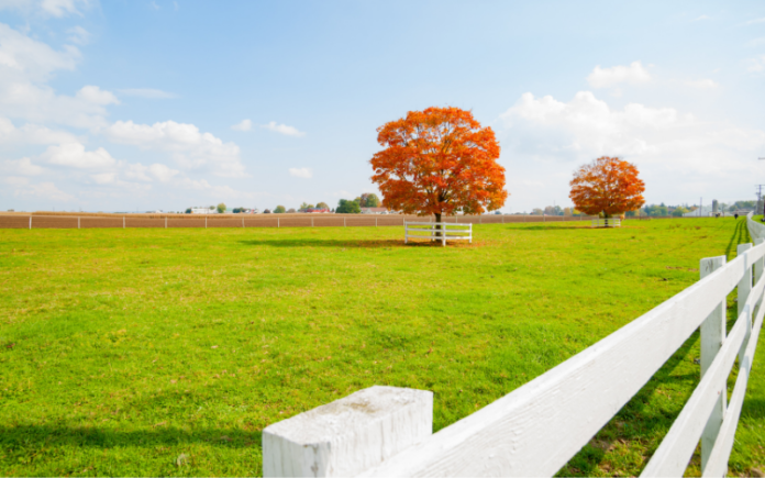 buying selling property