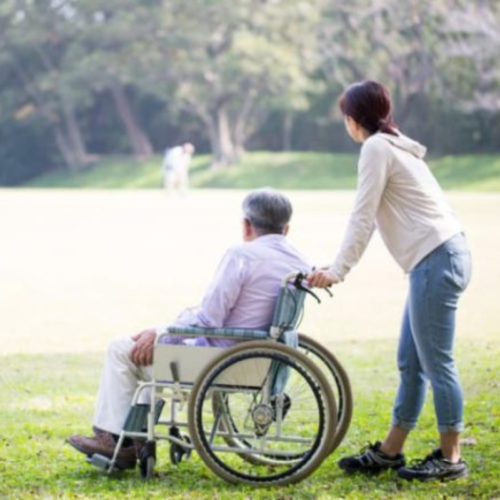 Adult Guardianship